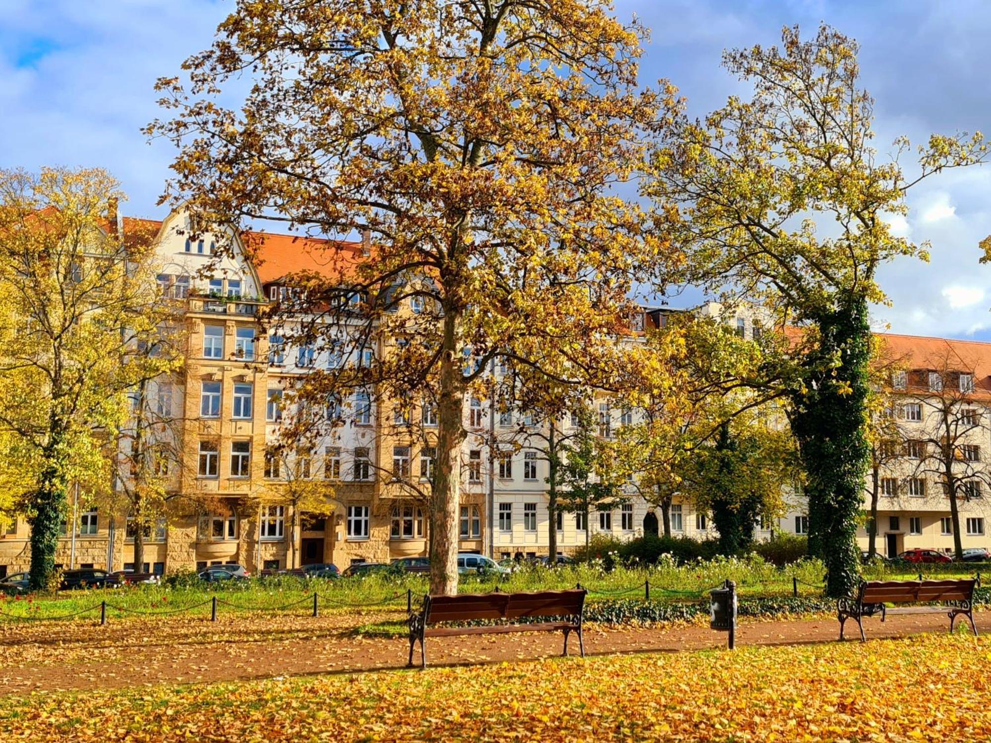 Kleinod Am Park - Zentrum-Suedost Daire Leipzig Dış mekan fotoğraf